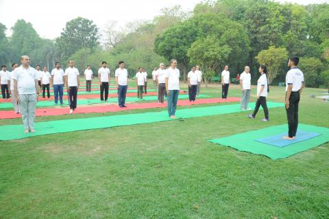 Countdown to Intl Yoga Day held on 6-5-2022 at Lodi Garden